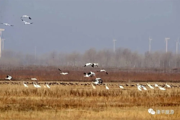 Kangping county launches spring tourism season