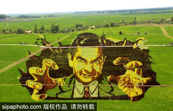 Shenyang displays spectacular 3D paddy field art