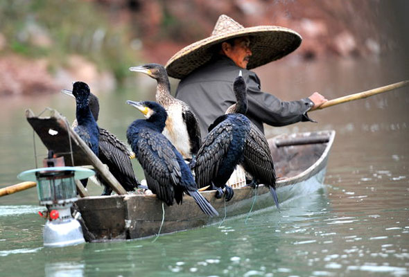 Fishing with cormorants in Hubei