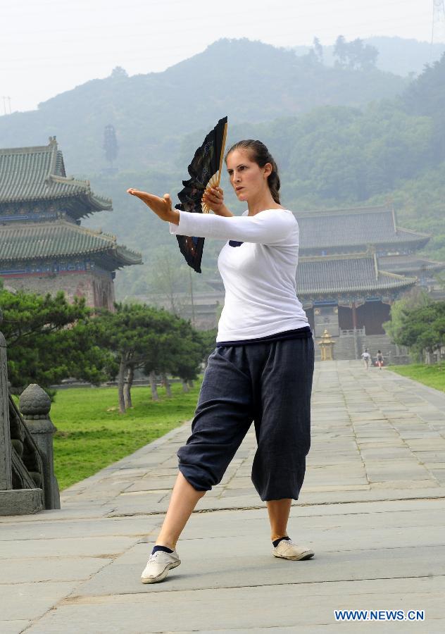 Foreign learners love Chinese martial arts
