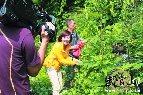 CCTV shoots series in Wudang
