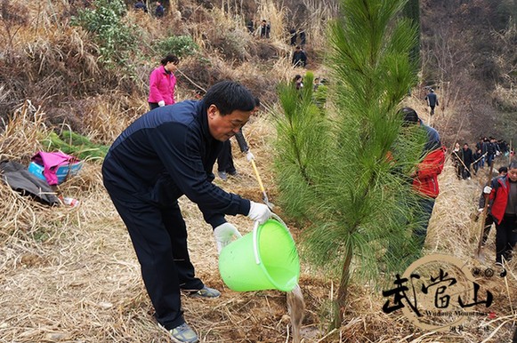 More trees for Wudang on Chinese Arbor Day