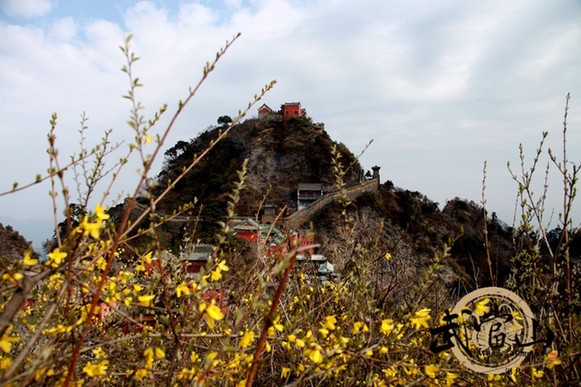 Flowers in full bloom in April