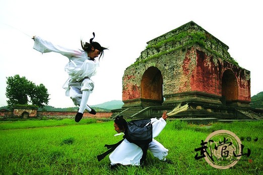 Wudang kung fu makes list of national intangible heritage