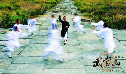 Wudang kung fu makes list of national intangible heritage