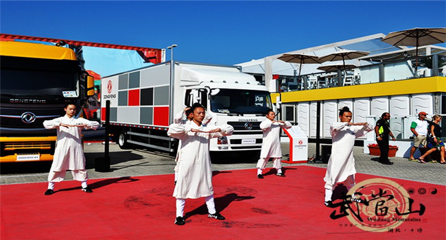 Wudang kung fu group stages performance in UAE