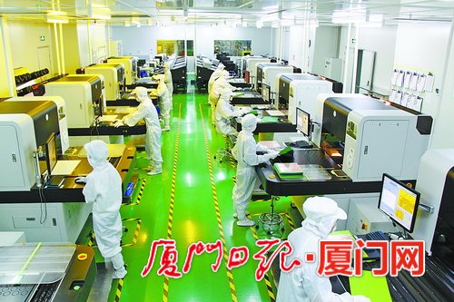 Xiamen eyes world-class panel, module manufacturing base