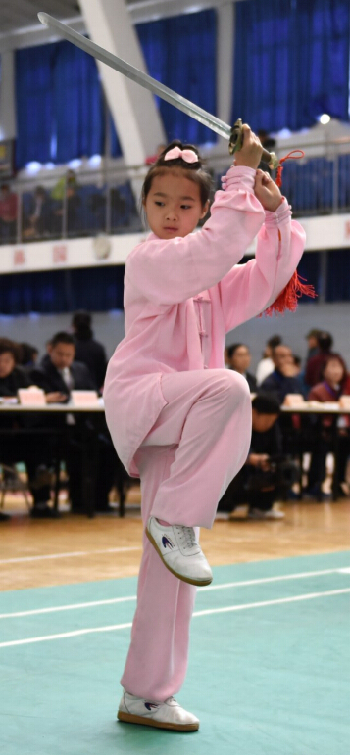 Spectacular tai chi competition concludes in Karamay