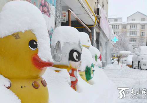 Heavy snow hits Urumqi