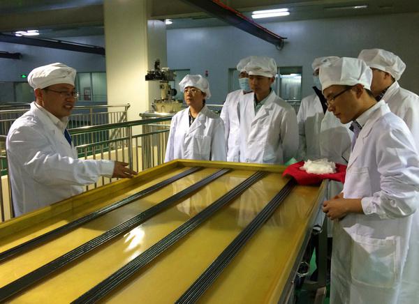 NDRC investigates energy saving in Xinjiang