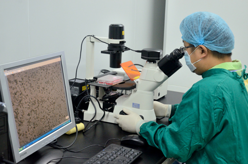 Biomedicine Industry