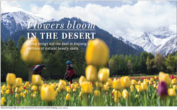 Flowers bloom in the desert