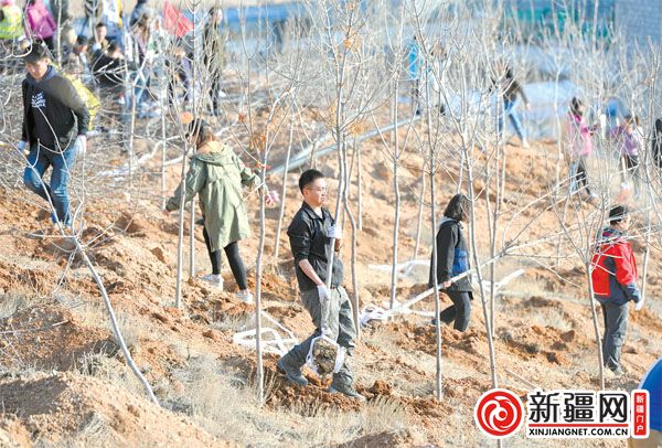 Toutunhe launches autumn greening park project