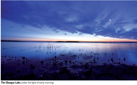 Fishing for fortune in the Gobi Desert