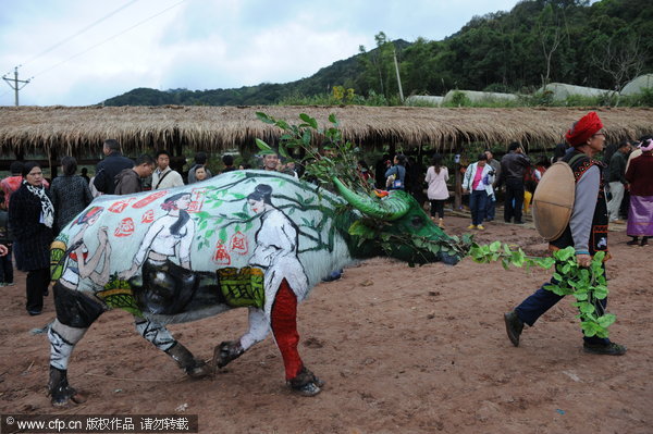 Colorful buffalo attracts attention in SW China