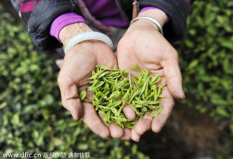 Culture insider: 7 types of Chinese tea you must know