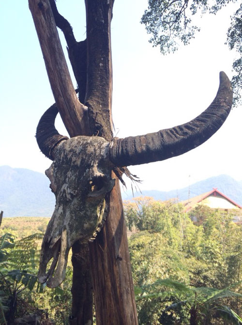 Yunnan's Wengding Wa village: China's last primitive tribe