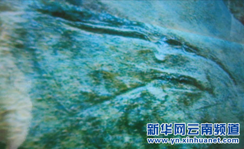 Team discovers prehistoric site in Fuxian Lake