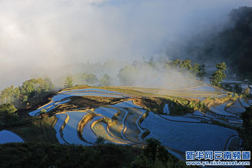The best time to view terrace fields in Yuanyang county