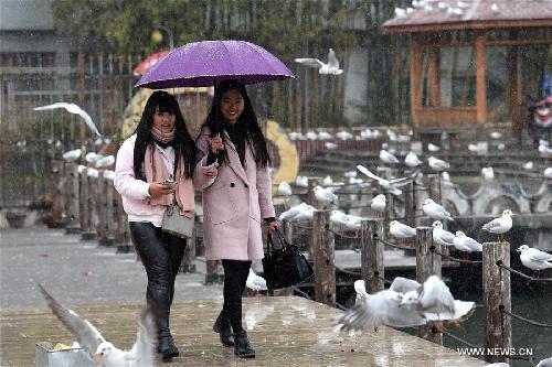 Snow and rain hits China's Kunming