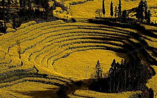 Magnificent view of Hani terraced fields in SW China