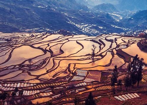 Magnificent view of Hani terraced fields in SW China