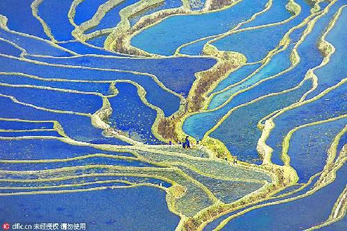 Yunyang terrace field in Southwest China's Yunnan province