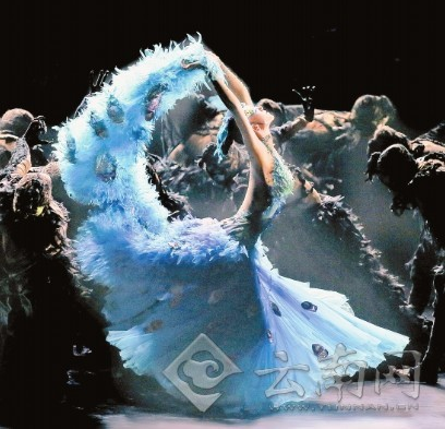 Famous dancer reproduces Dynamic Yunnan for audiences
