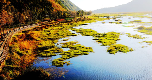 Picturesque scenery of Beihai Wetland