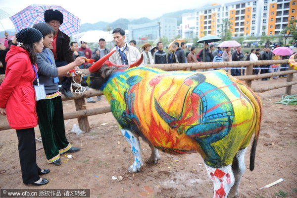 Colorful buffalo attracts attention in SW China