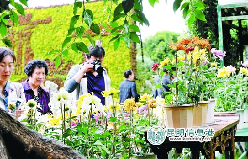 Public parks in Kunming to celebrate National Day