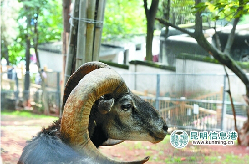 Public parks in Kunming to celebrate National Day