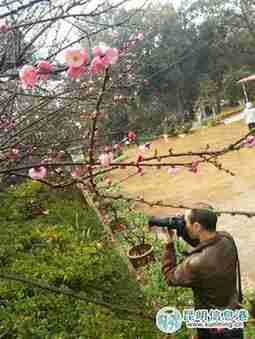 Enjoy plum blossoms at Heilongtan Park
