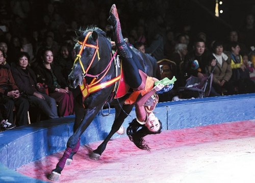Acrobatic performances render Kunming residents stunned