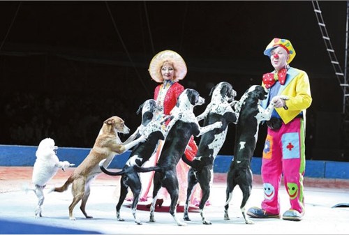 Acrobatic performances render Kunming residents stunned