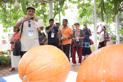 China and Sri Lanka cooperate to develop agriculture