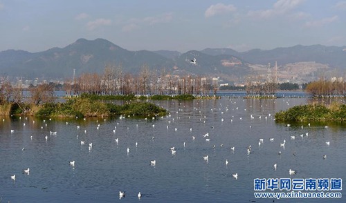 Kunming's air quality among the best in China