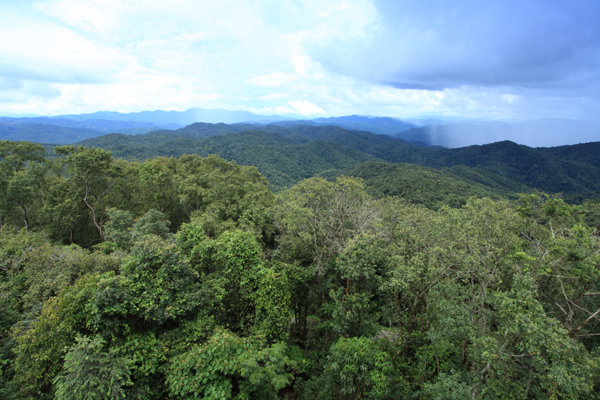 Pu’er National Forest Park