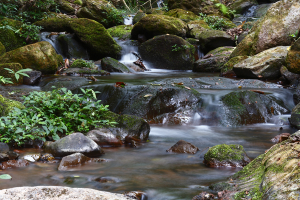 Pu’er National Forest Park