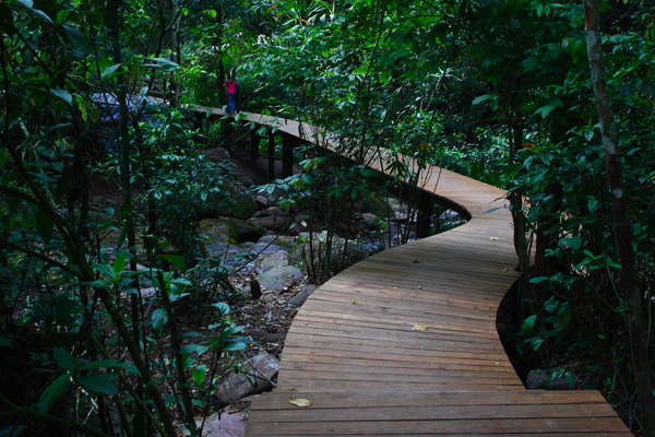 Pu’er National Forest Park