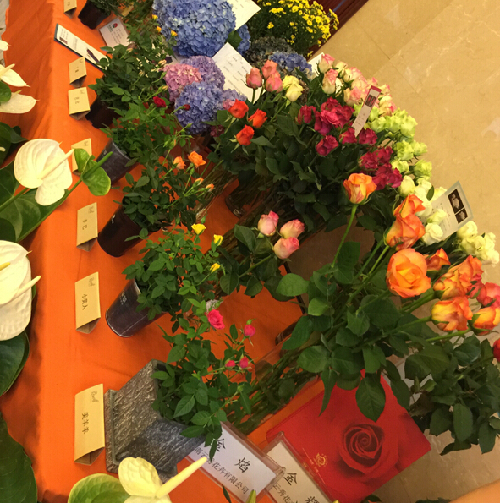Yunnan develops its flower industry through scientific innovation