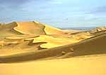 Desertification