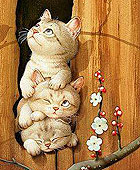 Cats