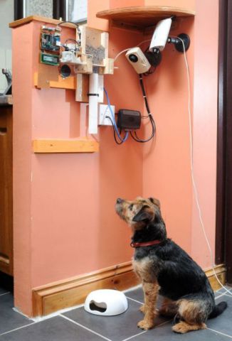 Feed dog by Twitter<BR>英IT男用微博远程喂狗