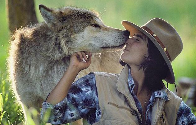 couple lives with wolves br>美夫妇"与狼共舞"6年(图)