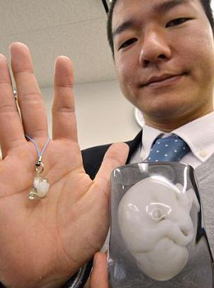 3D model of fetus<BR>3D打印胎儿抱回家(图)