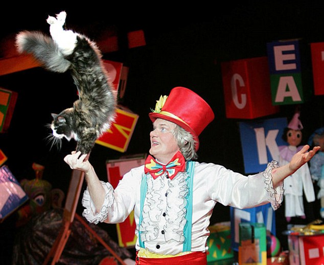 Cat show stunt in Russia<BR>俄罗斯猫儿上演绝技(图)