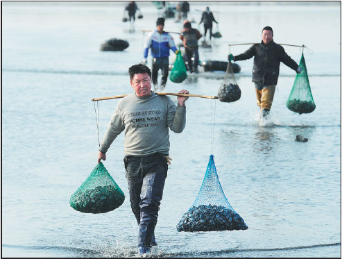 Liaoning, seafood paradise, looks to coast on surge in popularity