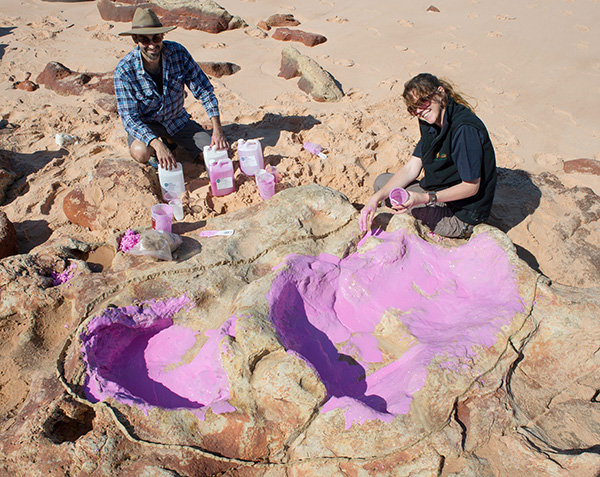 Tracks discovered in Australia's Jurassic Park