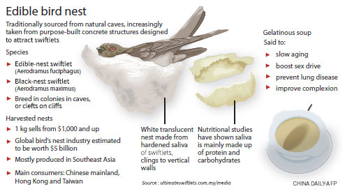 Bird nests come home to roost